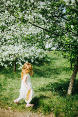 portrait of a little red-haired girl in Apple trees - 350281112