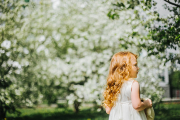 portrait of a little red-haired girl in Apple trees - 350281347