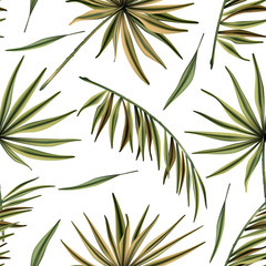 Realistic colorful tropical palm leaves vector seamless pattern. Jungle botanical summer background. Exotic green nature wallpaper.