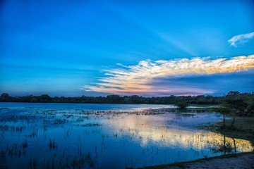 Kumala national park | Sri lanka |