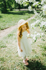 portrait of a little red-haired girl in Apple trees - 350282529