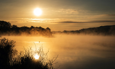 Fototapeta premium Misty, Trees, Castle Semple Loch, Renfrewshire, Scotland