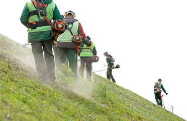 Des paysagistes professionnels font équipe avec des ouvriers coupant l& 39 herbe verte cultivée sur une pente inclinée avec des coupe-bordures à essence. Entretien de la pelouse avec des débroussailleuses