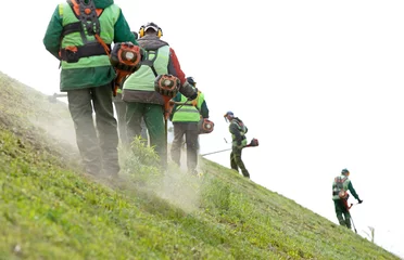 Poster Professionele tuinarchitecten teamarbeiders die gekweekt groen gras op hellende hellingen snijden met benzinesnaartrimmers. Gazononderhoud met bosmaaiers © Fotolia RAW