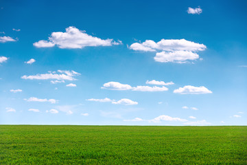 Green field and cloudy sky