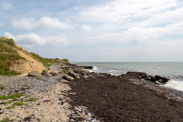 Landscape in Gedser Odee, Zealand, Denmark