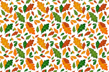 Colorful oak leaves vector seamless pattern in autumn palette. Hand drawing fall floral background. Vector doodle style illustration for calendar, wallpaper, fabric, cover or banner.
