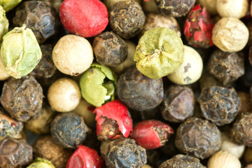 Macro photo of various colors pepper . Spices background
