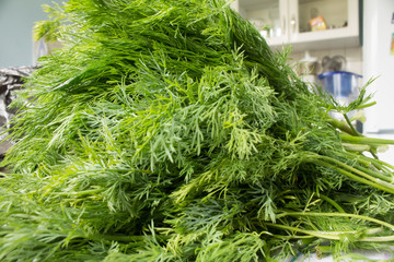 a large bundle of dill close-up lies in the kitchen