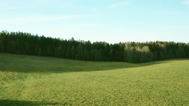 The drone&rsquo;s camera takes off from a field sown with dandelions, revealing a view of the vast expanses of fields and forests.