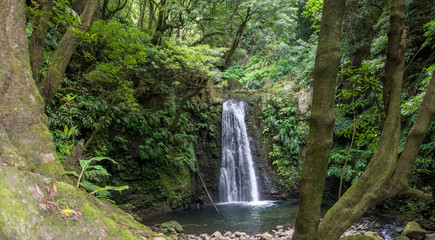 walk and discover the prego salto waterfall on the island of sao miguel, azores.