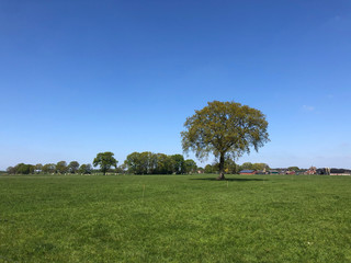 Farmland around Rijssen