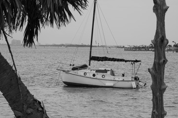 Sail Boat Black and White