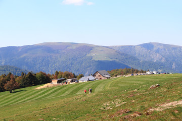 Paysage de la Vallée de Munster en Alsace