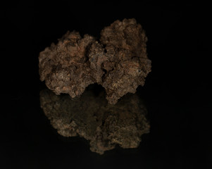 Piece of Volcanic Rock with reflection