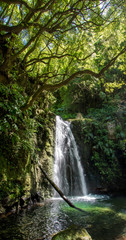 Fototapeta na wymiar walk and discover the prego salto waterfall on the island of sao miguel, azores.