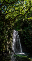 Fototapeta na wymiar walk and discover the prego salto waterfall on the island of sao miguel, azores.