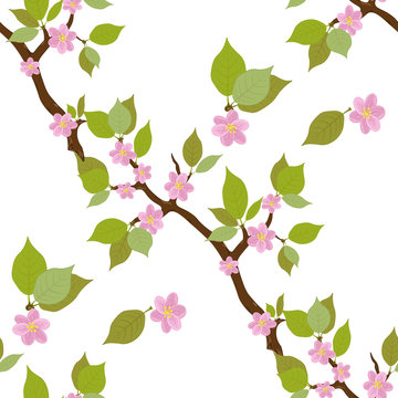 floral seamless pattern sakura branch pink flowers