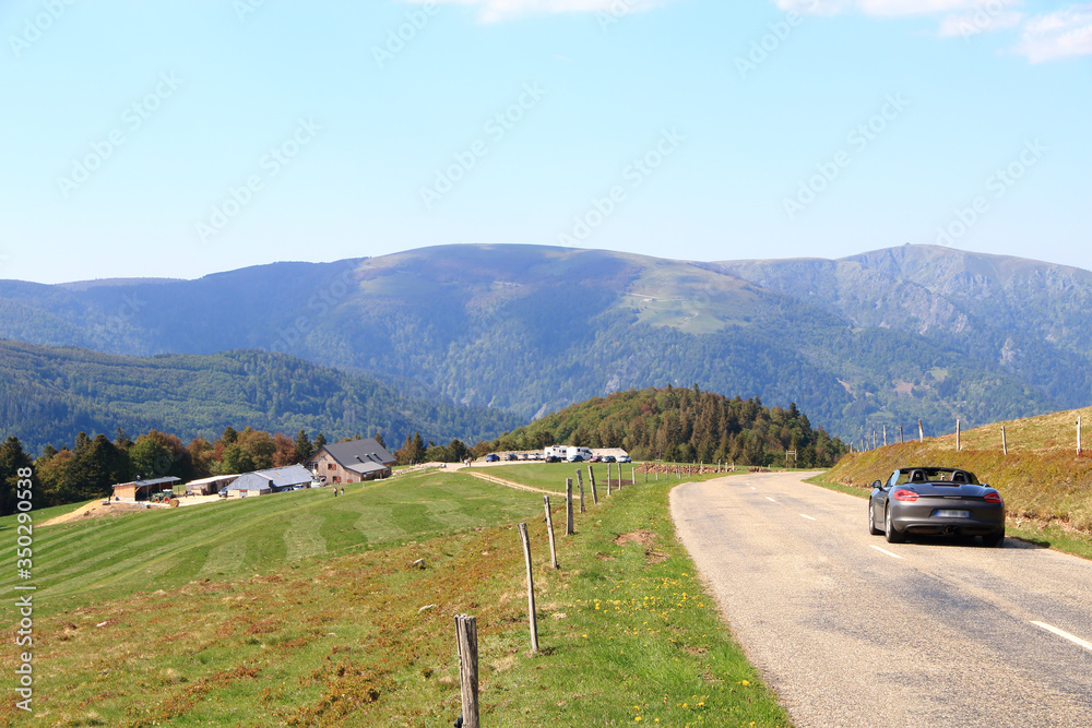 Poster paysage de la vallée de munster en alsace