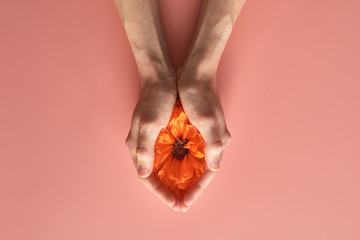 red poppy flower in the palms of a woman. vagina abstract image