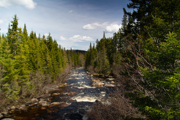Fototapeta na wymiar Chute d'eau en forêt canadienne