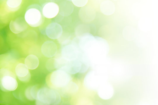 Green abstract background blur,holiday wallpaper