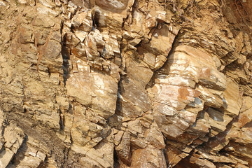 Wood Old Paint