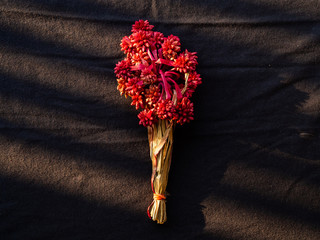 Ornamental dry tree red color is place on black cloth with natural lighting