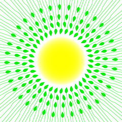 Green leaves around the sun. Spring background.