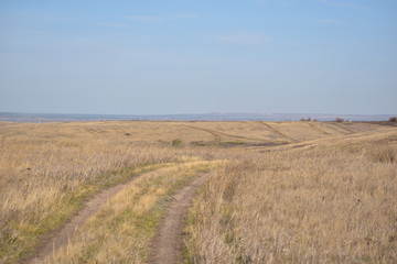 path through the field