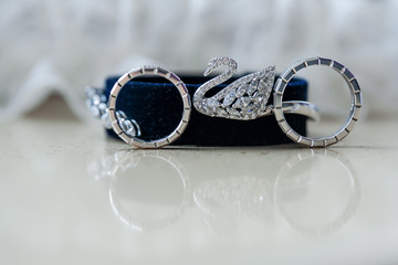 Jeweller ornament. White gold wedding rings