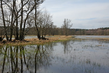 Mönchbruch