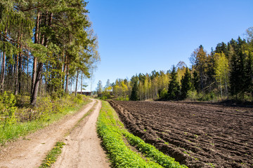 Obraz premium Countryside view in spring, field and rural road, Suurniemi, Lohja, Finland