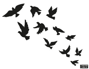 Set of black silhouette of flying birds.