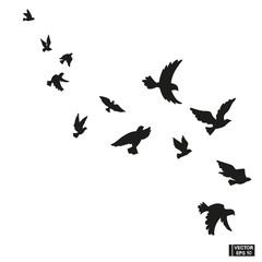 Set of black silhouette of flying birds.