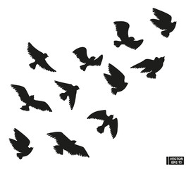 Set of black silhouette of flying birds.