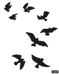 Obraz na płótnie Canvas Set of black silhouette of flying birds.