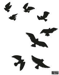 Obraz premium Set of black silhouette of flying birds.