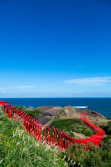 山口県　元乃隅神社　鳥居