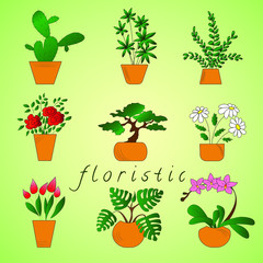 Illustration of a green tree on an isolated background.