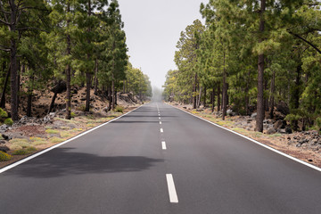 Fototapeta na wymiar Beautiful Empty Mountain Road on Mount Teide, Tenerife, Canary Islands