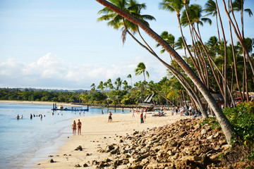 Palm trees bend at the sand shoreline on a remote island beach in Fiji