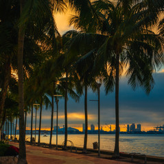 sunset beach tree palm trees coconut tropical sea sunrise sky clouds blue yellow ocean silhouette sun water island summer miami florida dusk nature landscape vacation eden © Alberto GV PHOTOGRAP