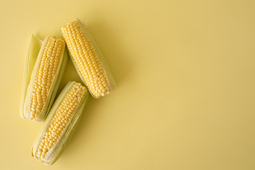 Thee whole sweet corncobs on yellow background with copy space on the right