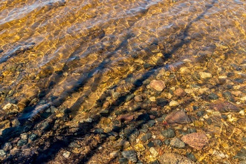 The shadow of a tree on the surface of the river