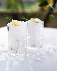 Iced gin tonic with lemon and rosemary in the garden. Vertical copy space.