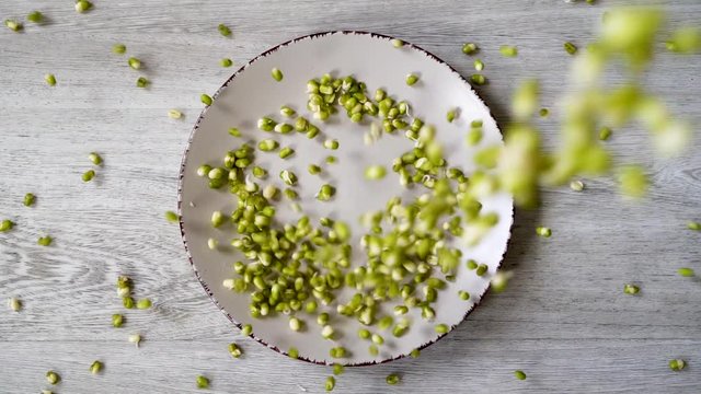 Green mung beans (Vigna radiata) slowly pour down on top of the plate. Mung bean sprouts close-up. Slow-motion video.