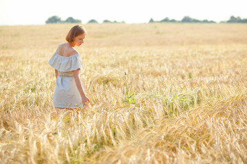 Naklejka na ściany i meble A young girl with a straw hat on her head is dancing in a wheat field. Runs his hand over the ears. Stands with his back to the camera.
