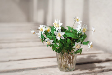 White forest flowers anemones in a vase on a wooden background. Floral background. Copy space for text