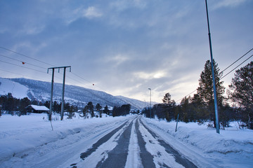Snow Sled Dogs in Geilo Norway

